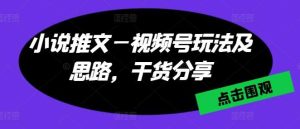 小说推文—视频号玩法及思路，干货分享-旺仔资源库
