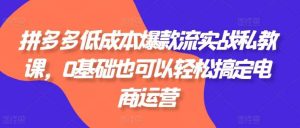 拼多多低成本爆款流实战私教课，0基础也可以轻松搞定电商运营-旺仔资源库