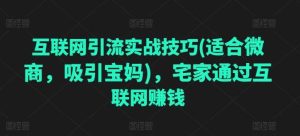 互联网引流实战技巧，宅家通过互联网赚钱-旺仔资源库