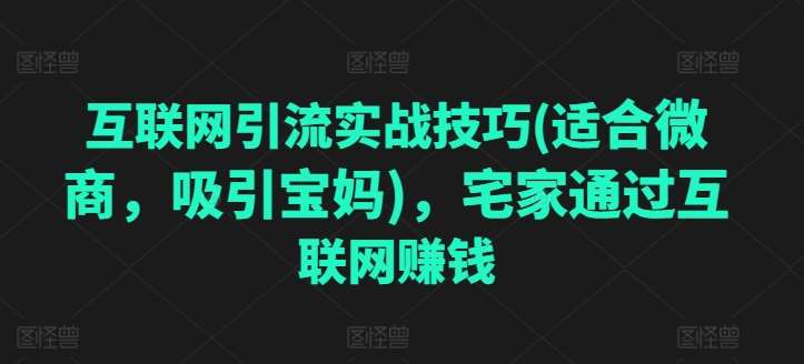 互联网引流实战技巧(适合微商，吸引宝妈)，宅家通过互联网赚钱-旺仔资源库