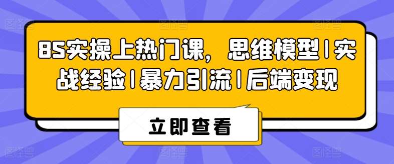 8S实操上热门课，思维模型|实战经验|暴力引流|后端变现-旺仔资源库