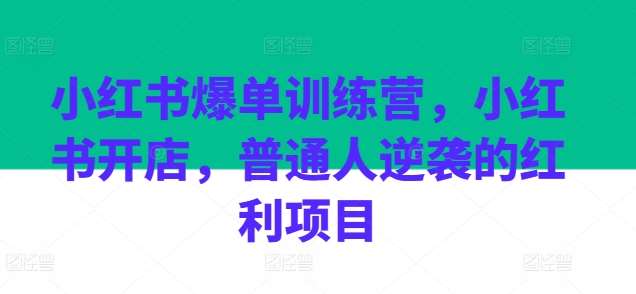 小红书爆单训练营，小红书开店，普通人逆袭的红利项目-旺仔资源库