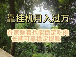 （11144期）挂机掘金，日入1000+，躺着也能吃肉，适合宝爸宝妈学生党工作室，电脑…-旺仔资源库