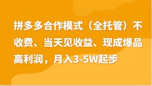 最新拼多多模式日入4K+两天销量过百单，无学费、老运营代操作、小白福利-旺仔资源库