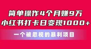 简单操作4个月赚9w，小红书打卡日变现1k，一个被忽视的暴力项目【揭秘】-旺仔资源库