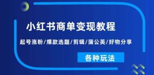 小红书商单变现教程：起号涨粉/爆款选题/剪辑/蒲公英/好物分享/各种玩法-旺仔资源库