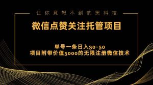 （11177期）视频号托管点赞关注，单微信30-50元，附带价值5000无限注册微信技术-旺仔资源库
