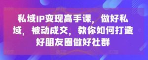 私域IP变现高手课，做好私域，被动成交，教你如何打造好朋友圈做好社群-旺仔资源库