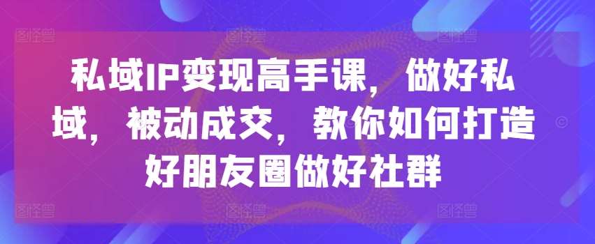 私域IP变现高手课，做好私域，被动成交，教你如何打造好朋友圈做好社群-旺仔资源库