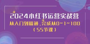 2024小红书运营实战营，从入门到精通，完成从0~1~100（51节课）-旺仔资源库