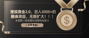 （11196期）搜狐撸金2.0日入3000+，可无限扩大的翻身项目-旺仔资源库