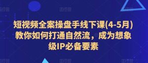 短视频全案操盘手线下课教你如何打通自然流，成为想象级IP必备要素-旺仔资源库