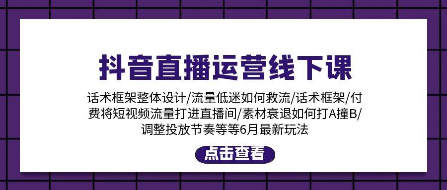 （11211期）抖音直播运营线下课：话术框架/付费流量直播间/素材A撞B/等6月新玩法-旺仔资源库