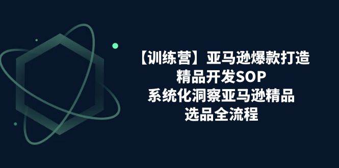 （11210期）【训练营】亚马逊爆款打造之精品开发SOP，系统化洞察亚马逊精品选品全流程-旺仔资源库