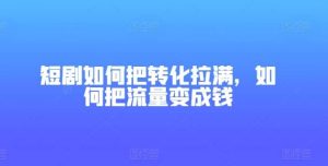 短剧如何把转化拉满，如何把流量变成钱-旺仔资源库