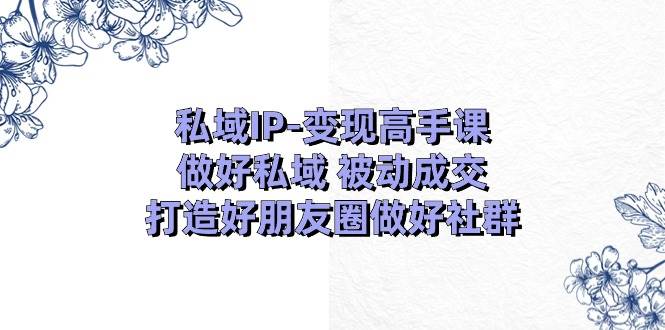 私域IP变现高手课：做好私域被动成交，打造好朋友圈做好社群（18节）-旺仔资源库