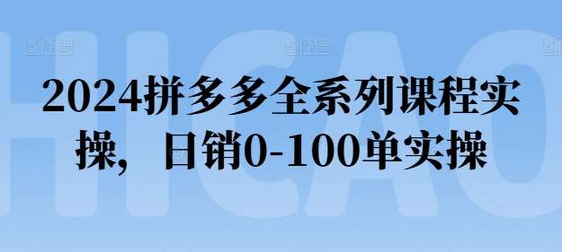 2024拼多多全系列课程实操，日销0-100单实操【必看】-旺仔资源库