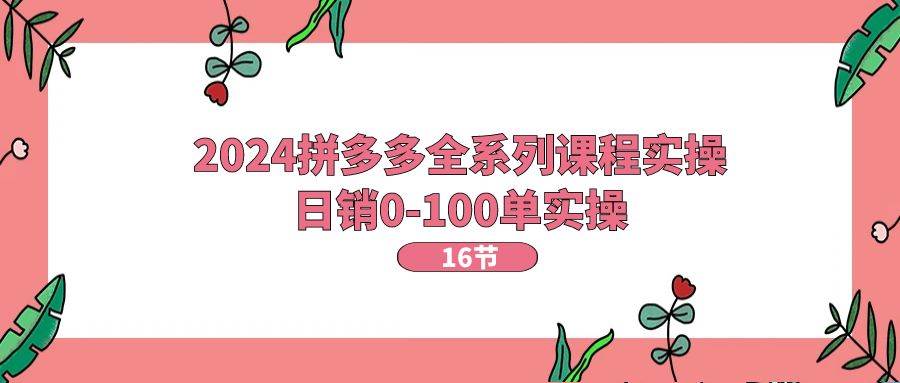 （11222期）2024拼多多全系列课程实操，日销0-100单实操【16节课】-旺仔资源库