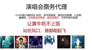 2024年最火爆风口项目，演唱会票务代理，日入2000+，一部手机就能搞定！-旺仔资源库