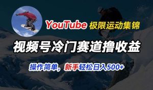 视频号冷门赛道撸收益，YouTube搬运极限运动集锦，暴力起号，操作简单流量高，轻松日入5张【揭秘】-旺仔资源库