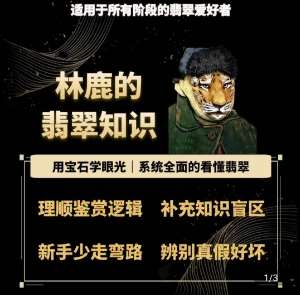 林鹿的翡翠知识，​用宝石眼光，系统全面的看懂翡翠-旺仔资源库