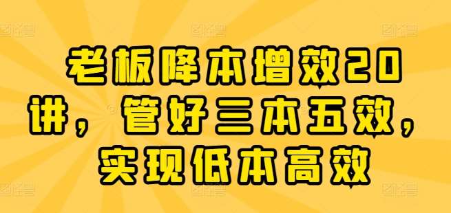 老板降本增效20讲，管好三本五效，实现低本高效-旺仔资源库
