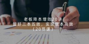 老板降本增效20讲，管好三本五效，实现低本高效（20节课）-旺仔资源库