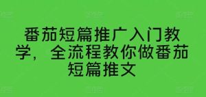 番茄短篇推广入门教学，全流程教你做番茄短篇推文-旺仔资源库