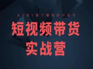 短视频带货实战营，从0到1做个赚钱的抖音号-旺仔资源库