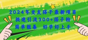 （11259期）2024年交友搭子最新项目，极速引流300+搭子粉，简单粗暴，好学好上手-旺仔资源库