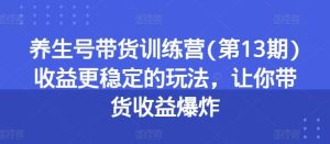 养生号带货训练营收益更稳定的玩法，让你带货收益爆炸-旺仔资源库