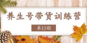 （11275期）养生号-带货训练营【第13期】收益更稳定的玩法，让你带货收益爆炸-旺仔资源库