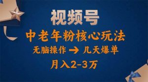 （11288期）视频号火爆玩法，高端中老年粉核心打法，无脑操作，一天十分钟，月入两万-旺仔资源库
