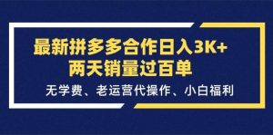 （11288期）最新拼多多合作日入3K+两天销量过百单，无学费、老运营代操作、小白福利-旺仔资源库