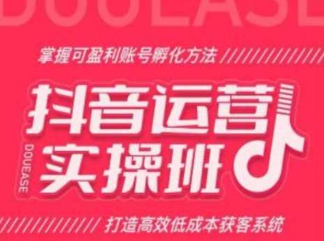 抖音运营实操班，掌握可盈利账号孵化方法，打造高效低成本获客系统-旺仔资源库