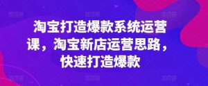 淘宝打造爆款系统运营课，淘宝新店运营思路，快速打造爆款-旺仔资源库