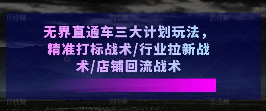 无界直通车三大计划玩法，精准打标战术/行业拉新战术/店铺回流战术-旺仔资源库