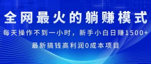 （11307期）全网最火的躺赚模式，每天操作不到一小时，新手小白日赚1500+，最新搞…-旺仔资源库