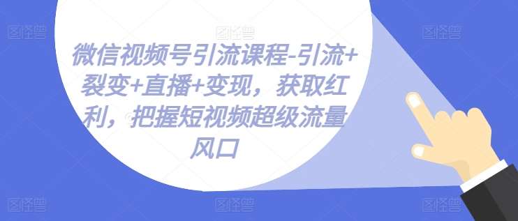 微信视频号引流课程-引流+裂变+直播+变现，获取红利，把握短视频超级流量风口-旺仔资源库