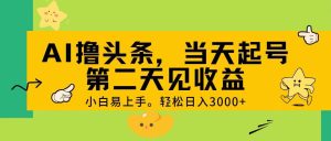 （11314期） AI撸头条，轻松日入3000+，当天起号，第二天见收益。-旺仔资源库