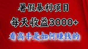 暑假暴力项目 1天收益3000+，视频号，快手，不露脸直播.次日结算-旺仔资源库