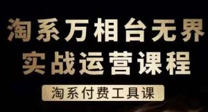 淘系万相台无界实战运营课，淘系付费工具课-旺仔资源库