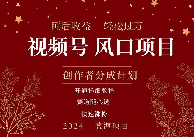 （11331期）拥有睡眠收益的微信视频号大风口项目，轻松月入过万+，多赛道选择，可…-旺仔资源库