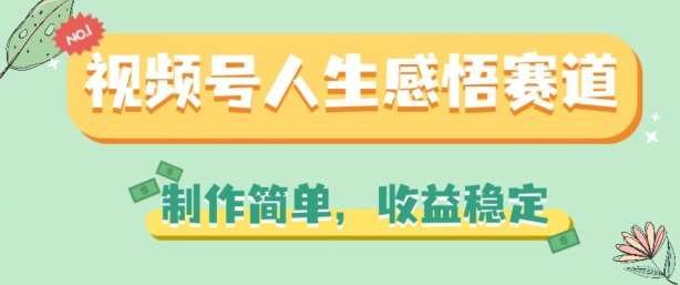 视频号人生感悟赛道，制作简单，收益稳定【揭秘】-旺仔资源库