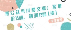 某公众号付费文章：客单价1500，利润1200，市场几乎可以说是空白的-旺仔资源库