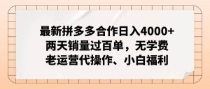 （11343期）最新拼多多合作日入4000+两天销量过百单，无学费、老运营代操作、小白福利-旺仔资源库