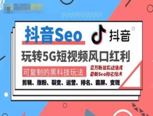 抖音SEO引流培训课程-抓住抖音风口，实现搜索排名，获取精准流量，快速成交变现-旺仔资源库