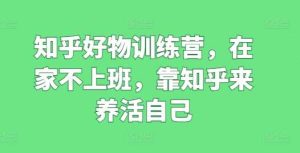 知乎好物训练营，在家不上班，靠知乎来养活自己-旺仔资源库