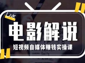 电影解说短视频自媒体赚钱实操课，教你做电影解说短视频，月赚1万-旺仔资源库