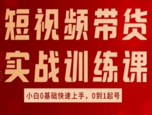 短视频带货实战训练课，好物分享实操，小白0基础快速上手，0到1起号-旺仔资源库